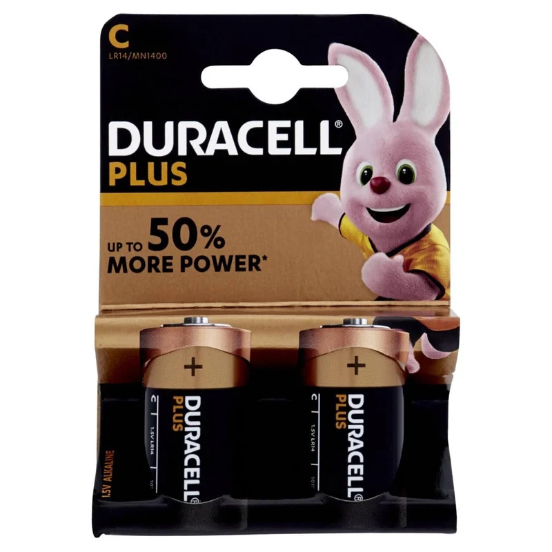 Duracell Batteria Plus 100 C Blister X2