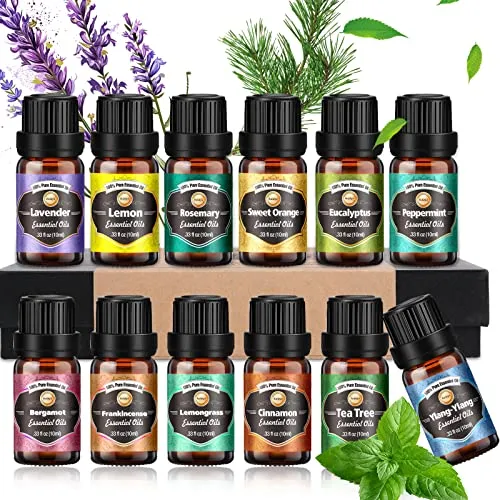 Oli Essenziali per Diffusori, Set di olio essenziale 12 x 10 ml, Essenze Naturali olio essenziale,Tea Tree Lavanda Rosmarino Eucalipto Ylang-ylang Incenso Citronella Arancia Menta Limone Bergamotto