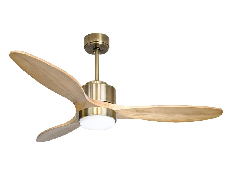 Ventilatore a soffitto ultra silenzioso e a basso consumo DC SalamisD132C02LED65883