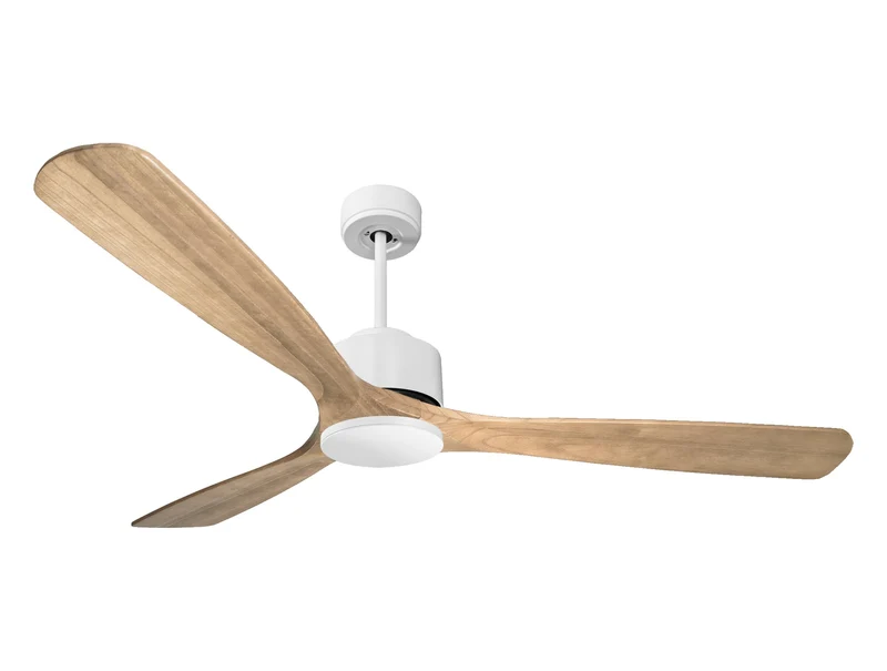 Ventilatore a soffitto ultra silenzioso e a basso consumo DC MljetD166C0266060
