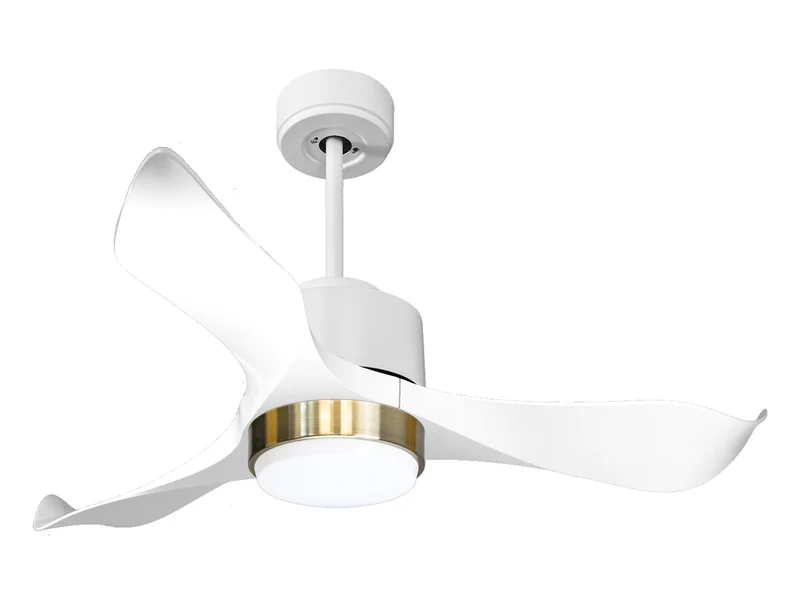 Ventilatore a soffitto ultra silenzioso e a basso consumo DC WhitsundayD106C02LED66103