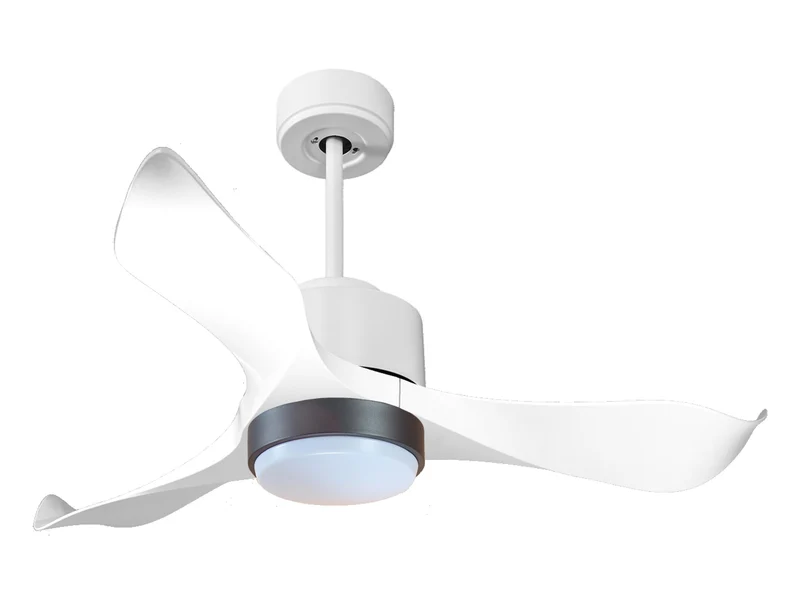 Ventilatore a soffitto ultra silenzioso e a basso consumo DC WhitsundayD106C02LED66104