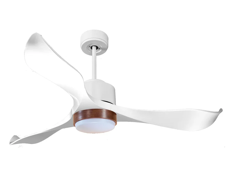 Ventilatore a soffitto ultra silenzioso e a basso consumo DC VirginD132C02LED66122