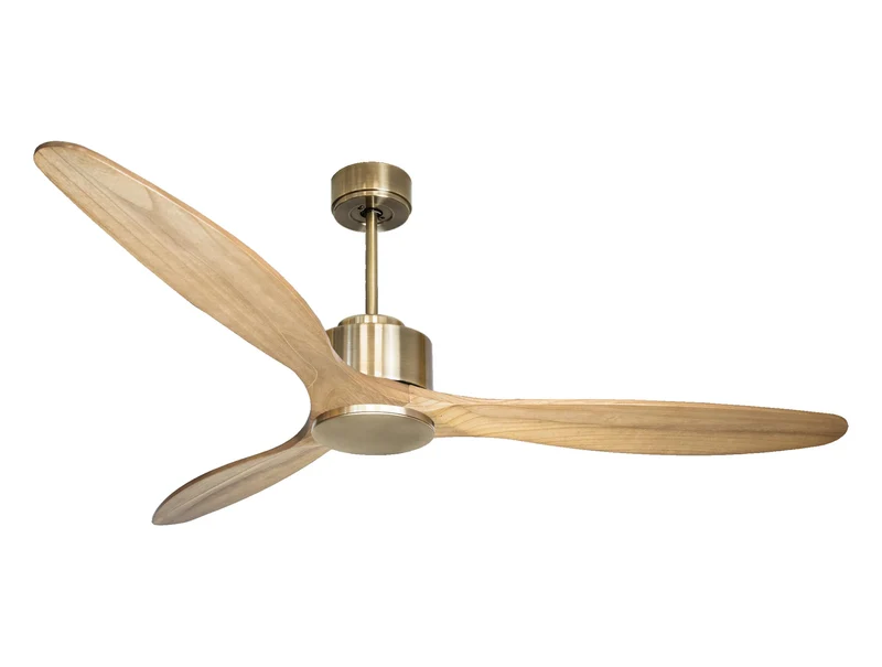 Ventilatore a soffitto ultra silenzioso e a basso consumo DC RangiroaD166C0265703