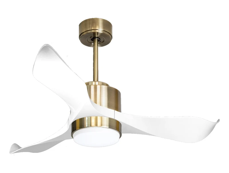 Ventilatore a soffitto ultra silenzioso e a basso consumo DC WhitsundayD106C02LED65764