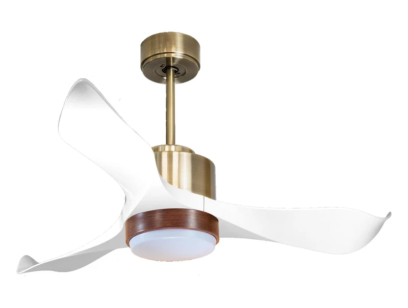 Ventilatore a soffitto ultra silenzioso e a basso consumo DC WhitsundayD106C02LED65766