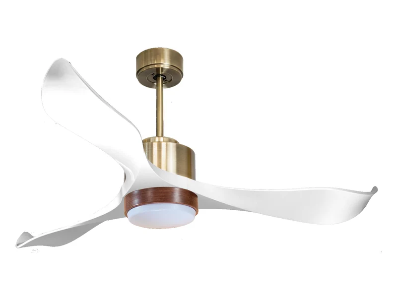 Ventilatore a soffitto ultra silenzioso e a basso consumo DC VirginD132C02LED65789