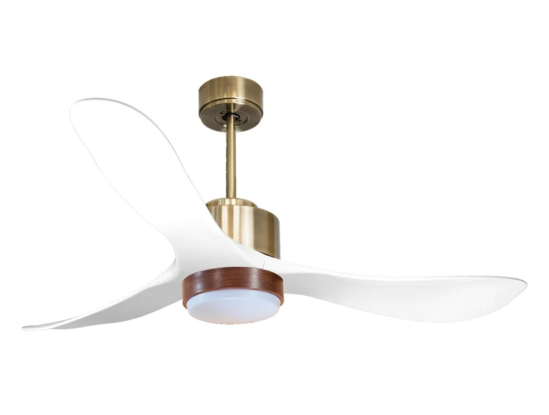 Ventilatore a soffitto ultra silenzioso e a basso consumo DC TongaD132C02LED65818