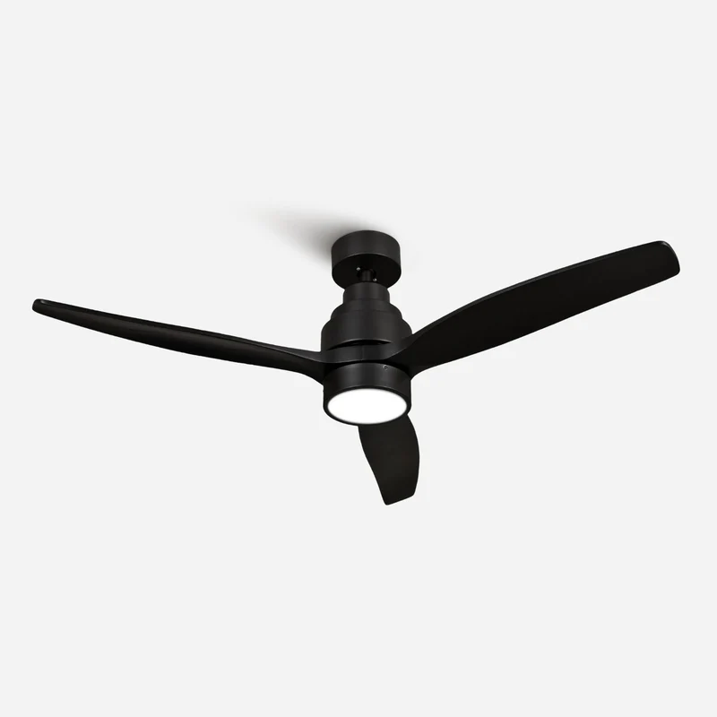 Brizy Bright Black - FP
