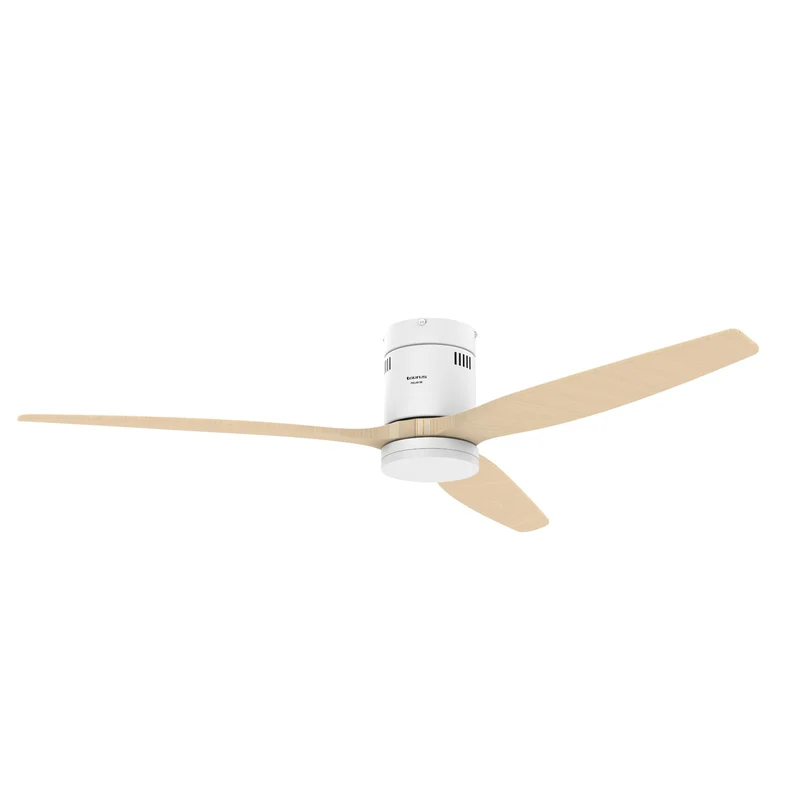 POLAR 3B - FP