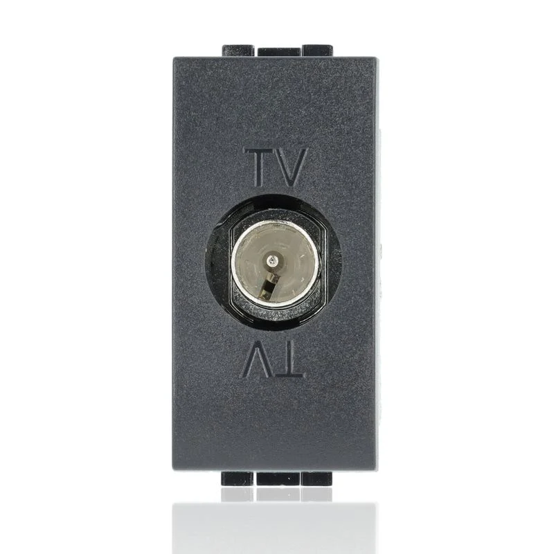BTICINO L4202P - Presa tv passante maschio - Nero - LivingLight